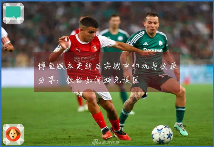 博鱼版本更新后实战中的坑与收获分享，教你如何避免误区